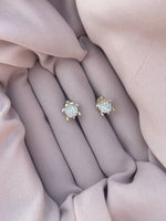 Pendientes Tortuga Lumina