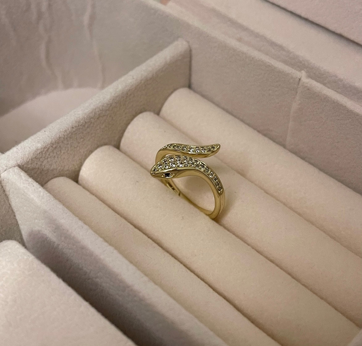 Anillo Snake