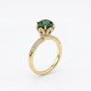 Anillo Zayel